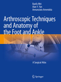 Vorderes Coverbild Arthroscopic Techniques and Anatomy of the Foot and Ankle