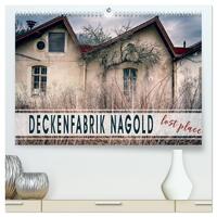 Vorderes Coverbild Deckenfabrik Nagold - lost place (hochwertiger Premium Wandkalender 2025 DIN A2 quer), Kunstdruck in Hochglanz
