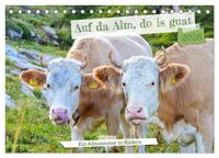 Vorderes Coverbild Bergstille – Momente auf der Alm (Tischkalender 2026 DIN A5 quer), CALVENDO Monatskalender
