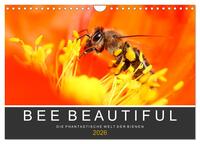 Vorderes Coverbild Bee Beautiful - Die phantastische Welt der Bienen (Wandkalender 2026 DIN A4 quer), CALVENDO Monatskalender
