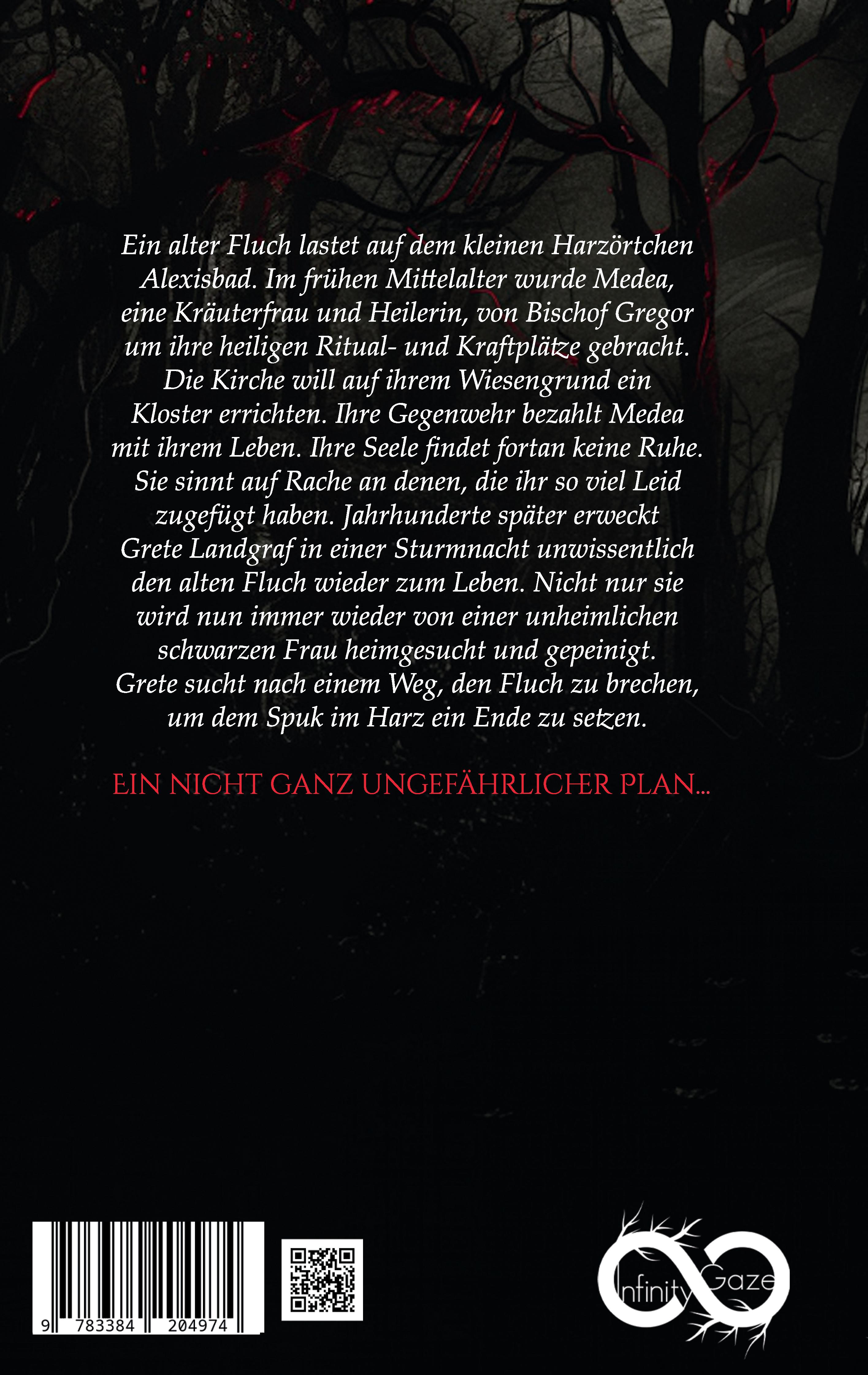 Rückseitencover Der Hexenfluch