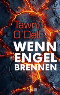 Vorderes Coverbild Wenn Engel brennen