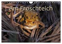 Vorderes Coverbild Am Froschteich (Wandkalender 2025 DIN A4 quer), CALVENDO Monatskalender