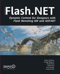 Vorderes Coverbild Flash .NET