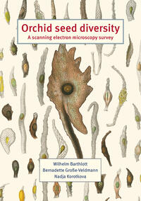 Vorderes Coverbild Orchid seed diversity: A scanning electron microscopy survey