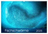 Vorderes Coverbild Fischschwärme (Wandkalender 2025 DIN A2 quer), CALVENDO Monatskalender