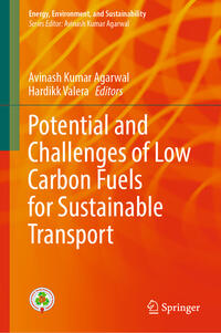 Vorderes Coverbild Potential and Challenges of Low Carbon Fuels for Sustainable Transport