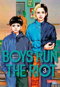 Vorderes Coverbild Boys Run the Riot 3