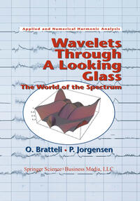Vorderes Coverbild Wavelets Through a Looking Glass