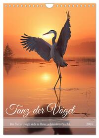 Vorderes Coverbild Tanz der Vögel (Wandkalender 2025 DIN A4 hoch), CALVENDO Monatskalender