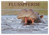 Vorderes Coverbild Flusspferde Magie des Augenblicks - Hippos in Afrika (Wandkalender 2025 DIN A4 quer), CALVENDO Monatskalender