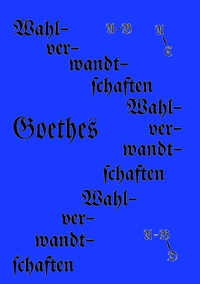Vorderes Coverbild Die Wahlverwandtschaften