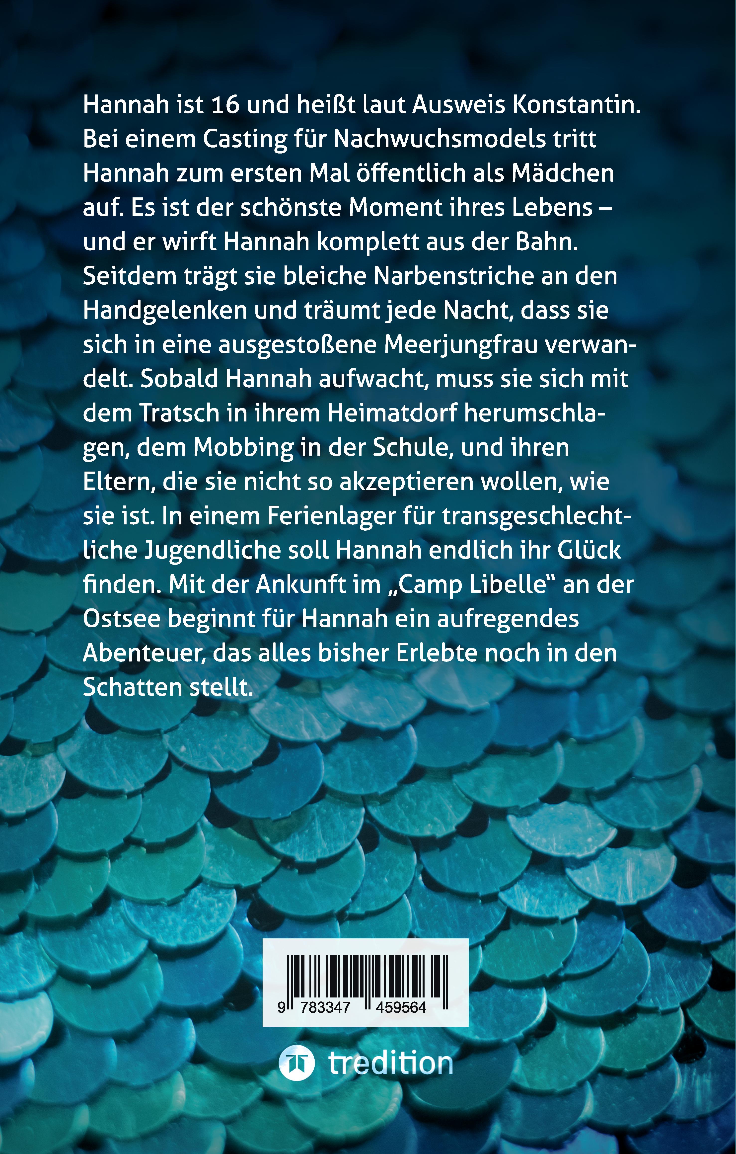Rückseitencover Nixenjunge