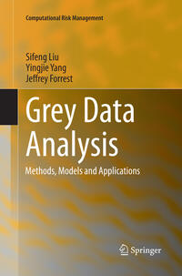 Vorderes Coverbild Grey Data Analysis
