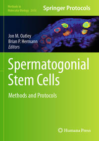 Vorderes Coverbild Spermatogonial Stem Cells