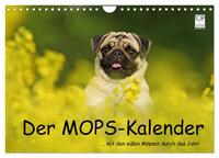 Vorderes Coverbild Der MOPS-Kalender (Wandkalender 2025 DIN A4 quer), CALVENDO Monatskalender
