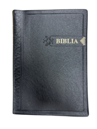 Vorderes Coverbild Lingala Bibel