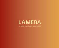 Vorderes Coverbild LAMEBA