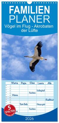 Vorderes Coverbild Familienplaner 2026 - Vögel im Flug - Akrobaten der Lüfte mit 5 Spalten (Wandkalender, 21 x 45 cm) CALVENDO