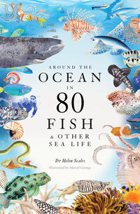 Vorderes Coverbild Around the Ocean in 80 Fish and other Sea Life