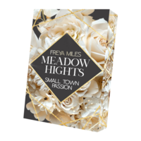 Vorderes Coverbild Meadow Hights - Small Town Passion