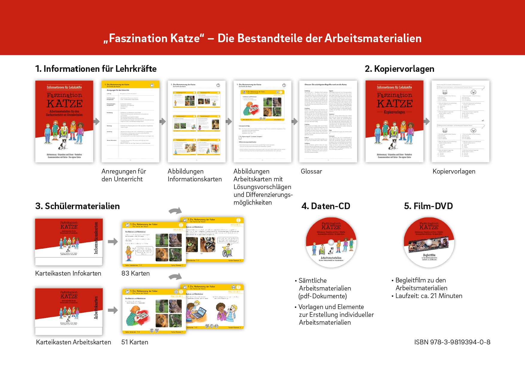 Rückseitencover Faszination Katze