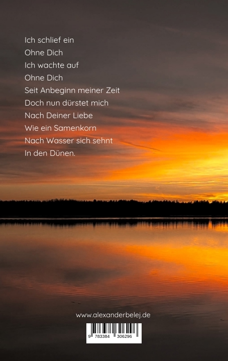 Rückseitencover Feuer meiner Seele