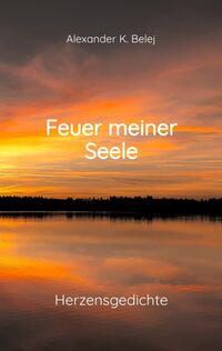 Vorderes Coverbild Feuer meiner Seele