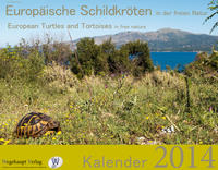 Vorderes Coverbild Europäische Schildkröten in der freien Natur, Kalender 2014