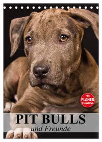 Vorderes Coverbild Pit Bulls und Freunde (Tischkalender 2025 DIN A5 hoch), CALVENDO Monatskalender