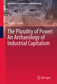 Vorderes Coverbild The Plurality of Power