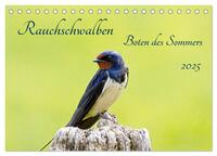 Vorderes Coverbild Rauchschwalben - Boten des Sommers (Tischkalender 2025 DIN A5 quer), CALVENDO Monatskalender