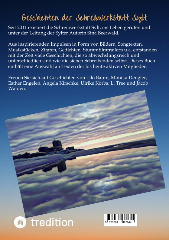 Rückseitencover Abtauchen