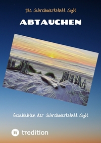 Vorderes Coverbild Abtauchen