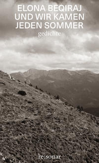 Vorderes Coverbild und wir kamen jeden sommer