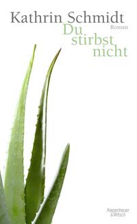 Vorderes Coverbild Du stirbst nicht