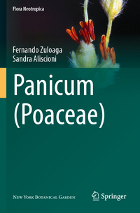 Vorderes Coverbild Panicum (Poaceae)