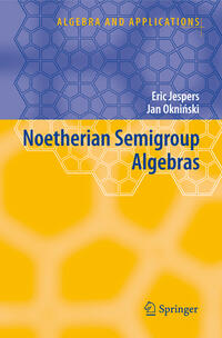 Vorderes Coverbild Noetherian Semigroup Algebras