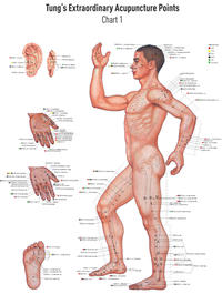 Vorderes Coverbild Akupunkturtafel Chart 1 TUNG's Extraordinary Acupuncture Points on the regular channels