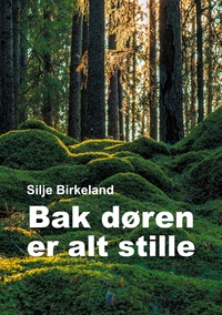Vorderes Coverbild Bak døren er alt stille