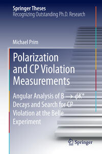 Vorderes Coverbild Polarization and CP Violation Measurements