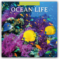Vorderes Coverbild Ocean Life – Leben im Ozean 2026 – 16-Monatskalender