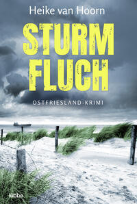Vorderes Coverbild Sturmfluch