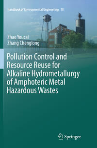 Vorderes Coverbild Pollution Control and Resource Reuse for Alkaline Hydrometallurgy of Amphoteric Metal Hazardous Wastes