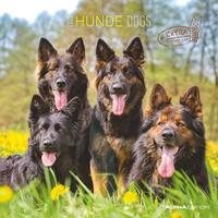 Vorderes Coverbild Alpha Edition - Hunde 2025 Broschürenkalender, 30x30cm, Wandkalender mit Platz für Notizen und Termine, schöne Hunde-Motive, Monatsübersicht und Ferientermine DE/AT/CH