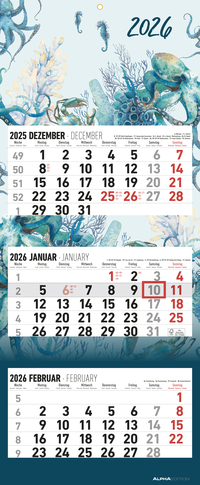 Vorderes Coverbild 3-Monatskalender Design 2026 - Büro-Kalender 33x20 cm (geschlossen), 33x80 cm (geöffnet) - faltbar - mit Datumsschieber - Alpha Edition