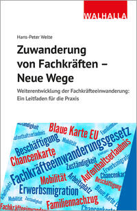 Vorderes Coverbild Zuwanderung von Fachkräften - Neue Wege