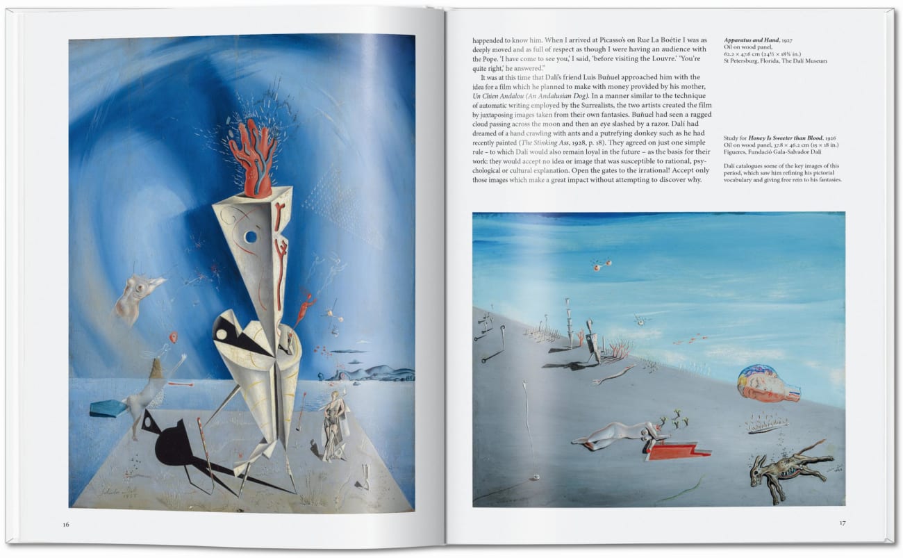 Beispielinhalt (Bild) Dalí