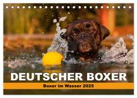 Vorderes Coverbild Deutscher Boxer - Boxer im Wasser 2025 (Tischkalender 2025 DIN A5 quer), CALVENDO Monatskalender
