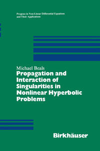 Vorderes Coverbild Propagation and Interaction of Singularities in Nonlinear Hyperbolic Problems